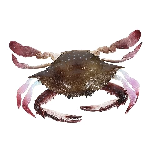 CLISPEED 1Stück Realistische Krabbenfigur aus Langlebigem PVC für Kreative Rollenspiele und Lernzwecke zur Dekoration von Badewannen Waschbecken oder Schwimmbädern Fördert von CLISPEED