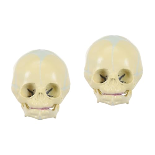 CLISPEED 2 Stk Schädel Skulptur des menschlichen Skeletts Kopfknochenmodell Kunstkopie prop von CLISPEED