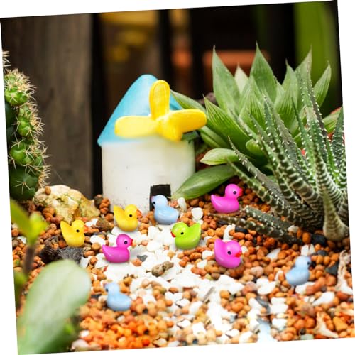 CLISPEED 25 Stück Teiliges Miniatur Enten Figuren aus Hochwertigem Harz Bunte Mini Dekorationen für Puppenhaus Miniteich Detailreiche Handgefertigte Mini Tiere von CLISPEED