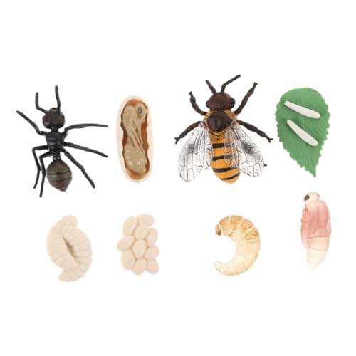 CLISPEED 2Sätze Lebenszyklusmodelle für Bienen und Ameisenwachstumszyklen Lehrreiche Spielzeuge aus Langlebigem für Pädagogische Entwicklung für Naturforscher CLISPEED 2Sätze Lebenszyklusmodelle für Bienen und Ameisenwachstumszyklen Lehrreiche Spielzeuge aus Langlebigem für Pädagogische Entwicklung für Naturforscher von CLISPEED