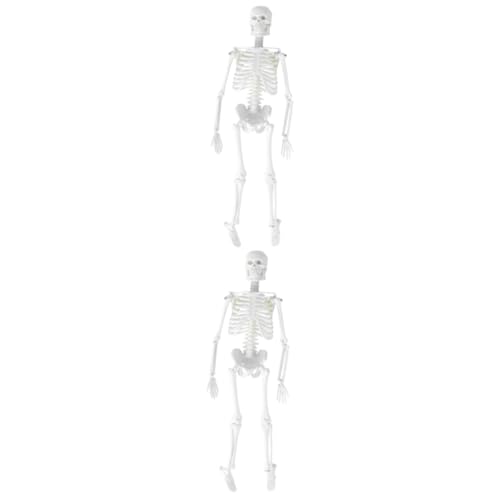 CLISPEED 2St Skelett in voller Größe Modell des menschlichen Körpers Anatomiemodell Modelle Anatomisches Studienmodell menschliches Skelettmodell abnehmbar Statue von CLISPEED