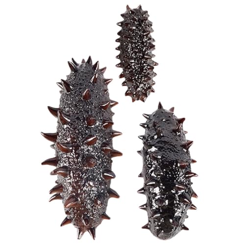 CLISPEED 3 Stück Simuliertes Seeigel dekor aus Hochwertigem PVC Naturgetreue Seeigelmodelle als Pädagogisches Meereslebewesen Dekorative Aquarium deko für Wohnräume CLISPEED 3 Stück Simuliertes Seeigel dekor aus Hochwertigem PVC Naturgetreue Seeigelmodelle als Pädagogisches Meereslebewesen Dekorative Aquarium deko für Wohnräume von CLISPEED