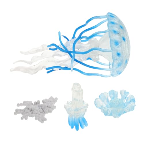 CLISPEED 4 Stück Realistische Quallen Figuren aus Kunststoff Handbemalt Lebenszyklus Modell für Interaktive Meereslebewesen Deko Pädagogisches für Aquarium und Lernspaß CLISPEED 4 Stück Realistische Quallen Figuren aus Kunststoff Handbemalt Lebenszyklus Modell für Interaktive Meereslebewesen Deko Pädagogisches für Aquarium und Lernspaß von CLISPEED