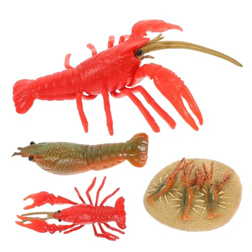 CLISPEED 4 Stück Teiliges Hummer lebenszyklus Modell aus Flexiblem Kunststoff Realistische zur Frühen Naturerkennung Pädagogisches Lernspielzeug und Dekoratives Tiermodell CLISPEED 4 Stück Teiliges Hummer lebenszyklus Modell aus Flexiblem Kunststoff Realistische zur Frühen Naturerkennung Pädagogisches Lernspielzeug und Dekoratives Tiermodell von CLISPEED
