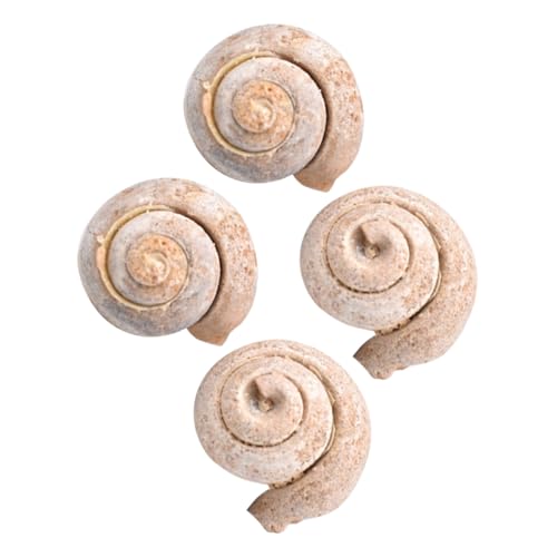 CLISPEED 4 Stück Teiliges Schneckenfossil Pädagogisches Desktop ornament Paläontologie Lehrmaterial für Schüler und Klassenzimmer Dekoration CLISPEED 4 Stück Teiliges Schneckenfossil Pädagogisches Desktop ornament Paläontologie Lehrmaterial für Schüler und Klassenzimmer Dekoration von CLISPEED