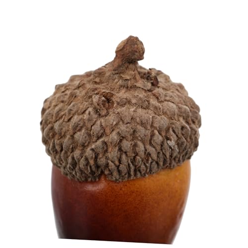 CLISPEED 40 Stück Teiliges Künstliche Realistische Kleine Dekoration Naturgetreue Simulation Leichtes Bastelzubehör für Herbstliche Wohn und Küchendekoration für DIY Handwerk von CLISPEED