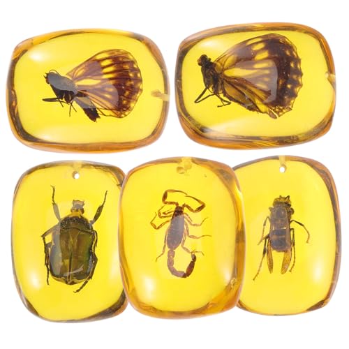 CLISPEED 5 Stück Teiliges Bernstein Anhänger mit Insekten Handgefertigte Kunstharz Schmuckanhänger für DIY Halsketten Armbänder und Ohrringe Natürliche Insektenproben für Kreative CLISPEED 5 Stück Teiliges Bernstein Anhänger mit Insekten Handgefertigte Kunstharz Schmuckanhänger für DIY Halsketten Armbänder und Ohrringe Natürliche Insektenproben für Kreative von CLISPEED