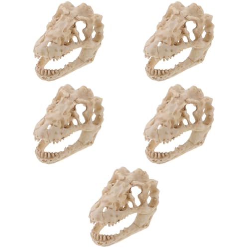 CLISPEED 5st Reptilien-dinosaurier-schädelmodell Aus Harz Kiefer Dinosaurier-schlafzimmerzubehör Wunderlich Halloween-schädelskelett Dinosauriermaske Schädelverzierung Miniaturen Kran CLISPEED 5st Reptilien-dinosaurier-schädelmodell Aus Harz Kiefer Dinosaurier-schlafzimmerzubehör Wunderlich Halloween-schädelskelett Dinosauriermaske Schädelverzierung Miniaturen Kran von CLISPEED