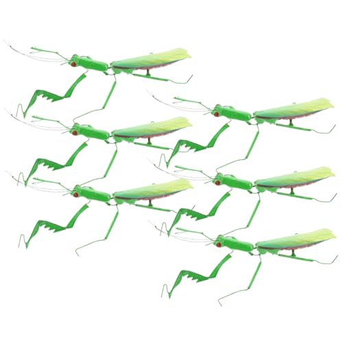 CLISPEED 6 Stück Mantis Figur Dekoration Ornamente Für Blumentopf Insektenmodell Mantis Figur Simulation Mantis Ornament Mantis Modell Pädagogisches Bauchmuskeln CLISPEED 6 Stück Mantis Figur Dekoration Ornamente Für Blumentopf Insektenmodell Mantis Figur Simulation Mantis Ornament Mantis Modell Pädagogisches Bauchmuskeln von CLISPEED