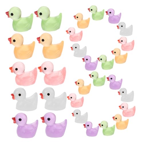 CLISPEED 60 Stück Teiliges Miniatur Enten aus Leuchtendem Resin Bunte Kleine Figuren für Bonsai Tischdeko Garten und Aquarium Dekoration Leichte und Langlebige Mini Ornamente von CLISPEED