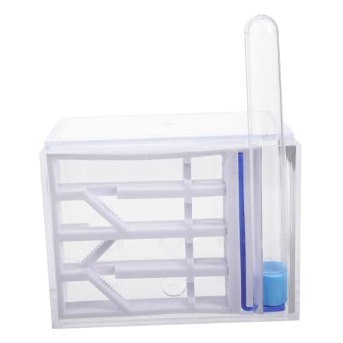 CLISPEED Ameisenfarm Schloss Ant Colony Beobachtungsset aus Klarem Acryl Integriertes Nest Einfacher Start für Schüler Perfekter Lebensraum für Kleine Ameisen Pädagogisches Lernspielzeug CLISPEED Ameisenfarm Schloss Ant Colony Beobachtungsset aus Klarem Acryl Integriertes Nest Einfacher Start für Schüler Perfekter Lebensraum für Kleine Ameisen Pädagogisches Lernspielzeug von CLISPEED