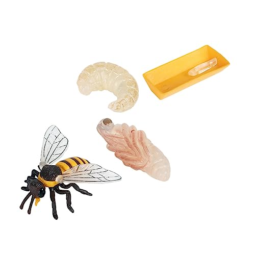 CLISPEED Bee Wachstumszyklus Modell Lernspielzeug Realistische Bienen Lebenszyklus Modelle Kognitive Naturentdeckung Leichtes Plastik von CLISPEED