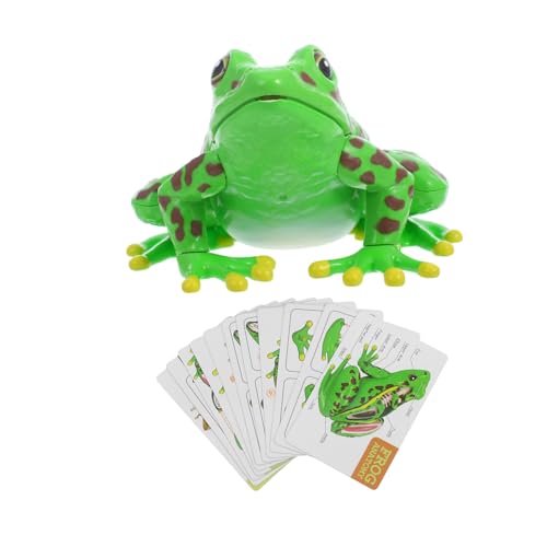 CLISPEED Pädagogisches Lernspielzeug – Frosch-sezierset – Weiches Modell – Beobachtungsgabe Und Logisches Denkvermögen CLISPEED Pädagogisches Lernspielzeug – Frosch-sezierset – Weiches Modell – Beobachtungsgabe Und Logisches Denkvermögen von CLISPEED