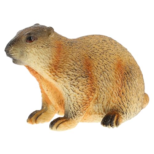 CLISPEED Groundhog Figurine Realistisches Tiermodell Als Deko-objekt Für Wohnräume Kindergarten Schule Simulierte Wildtier-Statue Für Bildungszwecke Und Raumgestaltung von CLISPEED