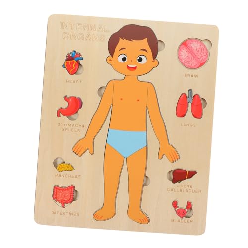 CLISPEED Holzpuzzle Human Body Organs Lernspielzeug Modell Pädagogisch Geburtstagsgeschenk für Jungen Mädchen zur Gedächtnis und Körperverständnis CLISPEED Holzpuzzle Human Body Organs Lernspielzeug Modell Pädagogisch Geburtstagsgeschenk für Jungen Mädchen zur Gedächtnis und Körperverständnis von CLISPEED