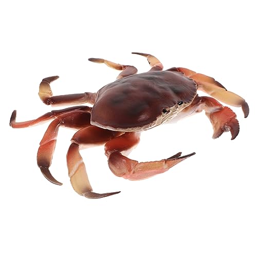 CLISPEED Simulation Krabbenmodell Plastisches Tiermodell Für Bildung Und Dekoration Realistische Gestaltung Für Garten Und Spielzeug von CLISPEED