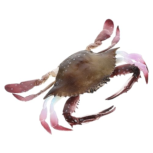CLISPEED Kreatives Krabbenmodell aus PVC Simulierte Plastik Krabbe für Spiel und Dekoration für Aquarien Lernspielzeug und Party von CLISPEED