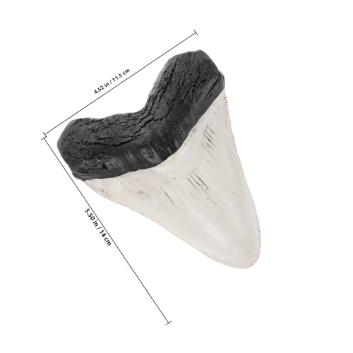 CLISPEED Künstlicher Haizahn Dekoration aus Langlebigem Resin Kleine Vielseitiges DIY Ornament für Tisch Regal und Büro Robust Verblasst nicht Realistische Nachbildung CLISPEED Künstlicher Haizahn Dekoration aus Langlebigem Resin Kleine Vielseitiges DIY Ornament für Tisch Regal und Büro Robust Verblasst nicht Realistische Nachbildung von CLISPEED