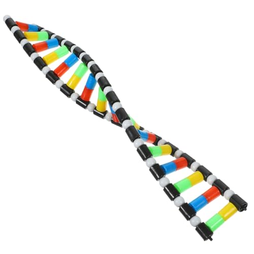 CLISPEED Modellbausatz Für Wissenschaftliches Lernspielzeug Anzeige Farbcodierte Nukleotide Strand Wissenschaftsmodelle Biologie Science Educational Toy Molekülmodellierungskit Kind Plastik CLISPEED Modellbausatz Für Wissenschaftliches Lernspielzeug Anzeige Farbcodierte Nukleotide Strand Wissenschaftsmodelle Biologie Science Educational Toy Molekülmodellierungskit Kind Plastik von CLISPEED