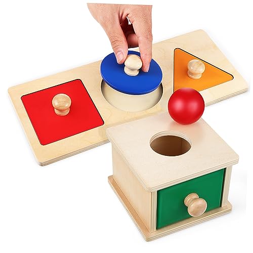CLISPEED Montessori Holzbox mit Ball Motorikförderndes Lernspielzeug für Kleinkinder Sicher Langlebig und Handgefertigt Fördert Hand Auge Koordination und Sensorische Entwicklung von CLISPEED