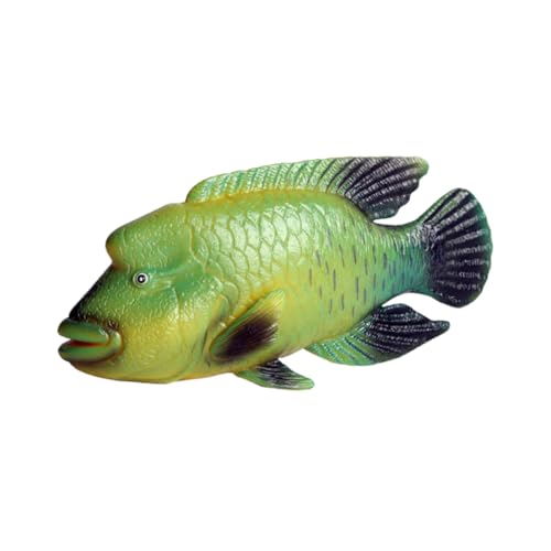CLISPEED Plastik Buckellippfisch Modell Tierfigur Realistisch Langlebig Lernspielzeug Aquarium Dekoration Meerestiere Simulation CLISPEED Plastik Buckellippfisch Modell Tierfigur Realistisch Langlebig Lernspielzeug Aquarium Dekoration Meerestiere Simulation von CLISPEED