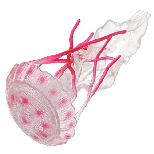 CLISPEED Quallenmodell Gefälscht Realistisch Tiere Meereslebewesen Ocean Animal Toy Qualle Quallenfigur Ozeantier Figur Figur Quallen-Modell Rot Plastik von CLISPEED