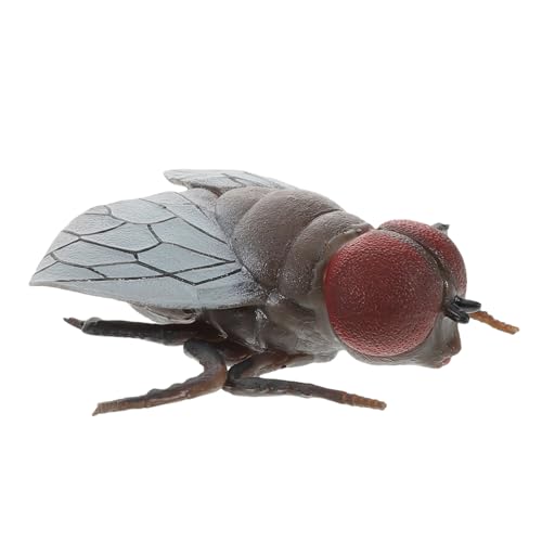 CLISPEED Realistische Fliegenfigur Lustiges Insekten für Sicheres Material für Halloween Dekoration und Kreative Räume Kinderspielzeug Kognitiven Entwicklung CLISPEED Realistische Fliegenfigur Lustiges Insekten für Sicheres Material für Halloween Dekoration und Kreative Räume Kinderspielzeug Kognitiven Entwicklung von CLISPEED