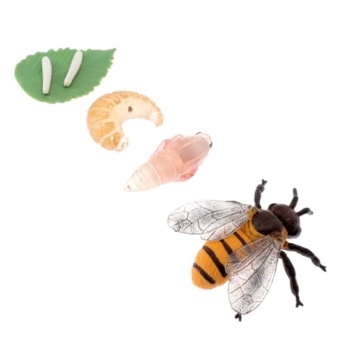CLISPEED Realistisches Bienenwachstumszyklus Modell Teiliges Lernspielzeug für Pädagogisches Insektenmodell aus Kindersicherem Kunststoff für Unterricht Rollenspiele und von CLISPEED