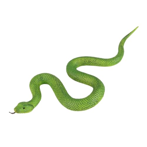 CLISPEED Realistisches Großes Weiches Gummischlangen Modell in Grün Lebensechte Giftschlange aus TPR Material als Scherzspielzeug Halloween Dekoration und Naturwissenschaftliches CLISPEED Realistisches Großes Weiches Gummischlangen Modell in Grün Lebensechte Giftschlange aus TPR Material als Scherzspielzeug Halloween Dekoration und Naturwissenschaftliches von CLISPEED