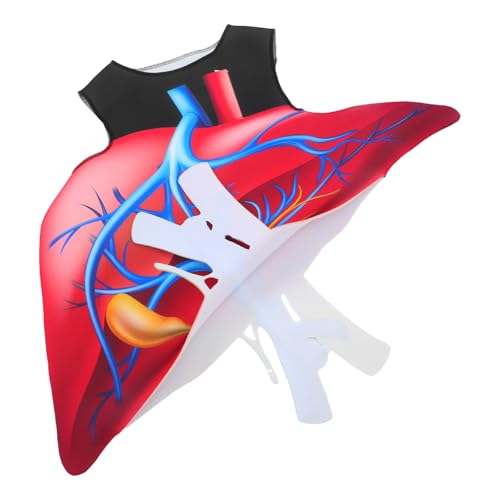 CLISPEED Realistisches Herz Kostüm Halloween Kostüm mit Organ Design Pädagogisches Bühnenkostüm für Party und Rollenspiel Einfach zu Reinigen und Pflegen Lustiges Valentinstagskostüm von CLISPEED