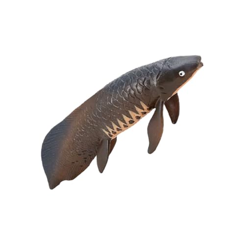 CLISPEED Realistisches Meerestier Modell aus Robustem Kunststoff Pädagogisches Lernspielzeug für Detailgetreue Fische Deko Leicht und Tragbar für Drinnen und Draußen CLISPEED Realistisches Meerestier Modell aus Robustem Kunststoff Pädagogisches Lernspielzeug für Detailgetreue Fische Deko Leicht und Tragbar für Drinnen und Draußen von CLISPEED