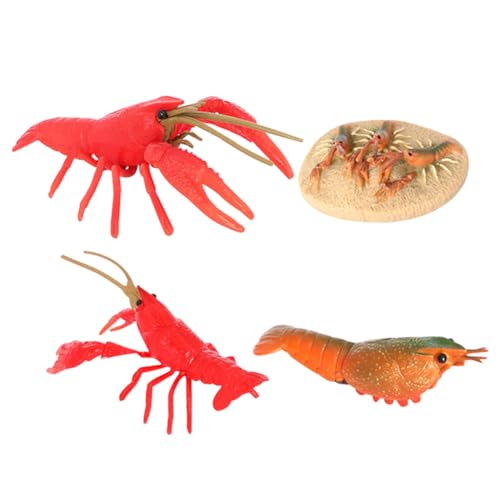 CLISPEED Realistisches Modell Lebensnaher Krebs Tierfiguren Pädagogisches Lernspielzeug für Ab Jahren Detailreiche Krebs Wachstumszyklus Figuren aus Sicherem Kunststoff Fördert CLISPEED Realistisches Modell Lebensnaher Krebs Tierfiguren Pädagogisches Lernspielzeug für Ab Jahren Detailreiche Krebs Wachstumszyklus Figuren aus Sicherem Kunststoff Fördert von CLISPEED