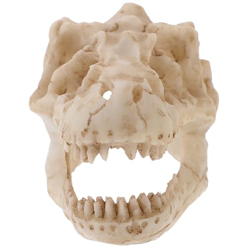 CLISPEED Reptilien-dinosaurier-schädelmodell Aus Harz Halloween-schädelskelett Figur Halloween-schädeldekoration Modell Anatomie Miniaturen Gefälscht Dinosaurierkostüm Wunderlich Stütze CLISPEED Reptilien-dinosaurier-schädelmodell Aus Harz Halloween-schädelskelett Figur Halloween-schädeldekoration Modell Anatomie Miniaturen Gefälscht Dinosaurierkostüm Wunderlich Stütze von CLISPEED