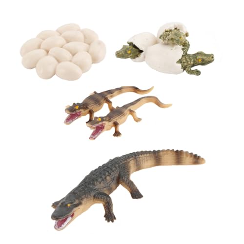 CLISPEED Simulation Krokodil Wachstumsmodell aus Kunststoff Pädagogisches für Fördert Kreativität und Tiererkennung Sicher und Vielseitig für Spiel und Dekoration Lernspielzeug Ab Jahren von CLISPEED