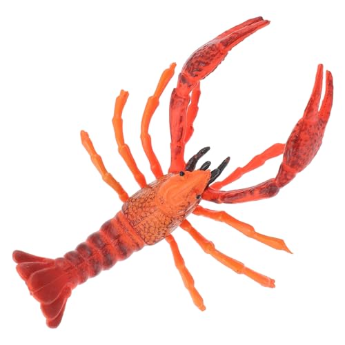CLISPEED Simulation Lobster Modell aus Hochwertigem Kunststoff Realistische Dekoration und Lernspielzeug für Leicht und Tragbar als Deko für Zuhause Schule und Garten CLISPEED Simulation Lobster Modell aus Hochwertigem Kunststoff Realistische Dekoration und Lernspielzeug für Leicht und Tragbar als Deko für Zuhause Schule und Garten von CLISPEED