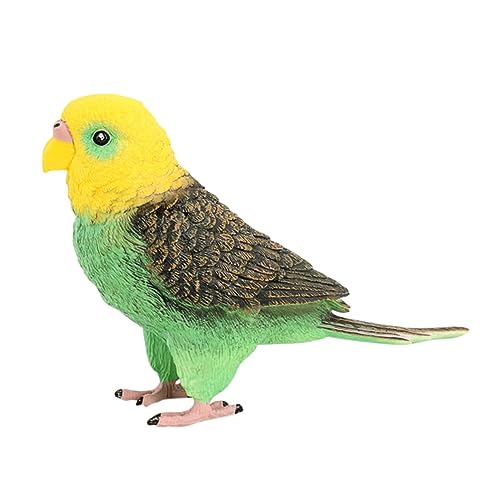 CLISPEED Simulation Wellensittich Modell aus Kunststoff Lebensechte Vogel Dekoration für Zuhause Geschäfte und Restaurants Detailgetreues für Stabil und Langlebig CLISPEED Simulation Wellensittich Modell aus Kunststoff Lebensechte Vogel Dekoration für Zuhause Geschäfte und Restaurants Detailgetreues für Stabil und Langlebig von CLISPEED