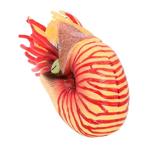 CLISPEED Simuliertes Nautilus Modell Hochwertige Dekoration für Langlebig und Sicher als Tierornament für Zuhause und Aquarium Detailreiche Verarbeitung und Kompakte von CLISPEED