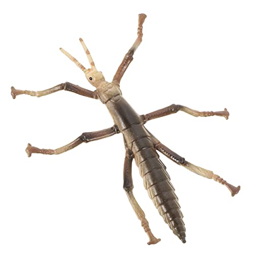 CLISPEED Stickwurmmodellspielzeug Realistisches Insektenspielzeug Kinderbedarf Lernspielzeug Aus Kunststoff Lebensechtes Insekt Für Insektenmodelle Im -Stil Plastik CLISPEED Stickwurmmodellspielzeug Realistisches Insektenspielzeug Kinderbedarf Lernspielzeug Aus Kunststoff Lebensechtes Insekt Für Insektenmodelle Im -Stil Plastik von CLISPEED