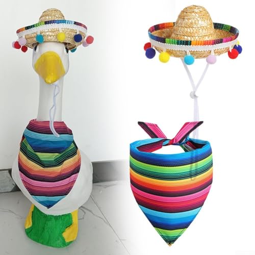CNANRNANC Buntes Rasengans-Kostüm-Set, Sombrero-Hut und gestreiftes Bandana, Outdoor-Party-Dekoration, Sommer-Gartendekoration für 58,4 cm große Statuen (Gänseanzug) von CNANRNANC