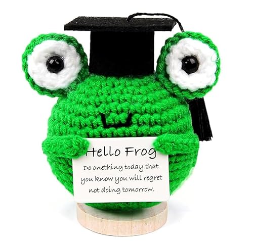 COLEESON Bachelor Geschenk 2025, Pocket Hug Positive Frosch, Glücksbringer Prüfung Geschenk, Mutmacher Geschenk, Bachelor Graduation Abi 2025 Geschenke von COLEESON