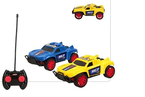 COLORBABY 49947 Set mit 2 Autos R/C Rally Cars Maßstab 1:24 Full Function, bunt von COLORBABY