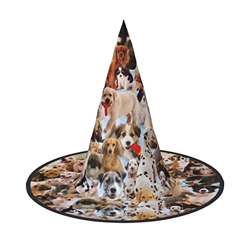 Niedlicher Hut für Hunde, Halloween, Hexenhut, für Make-up, Abend, Karneval und andere Anlässe von COMAAM