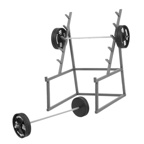 COMNESTBI 1 Set Fitness Langhantelmodell Hanteln Charms Puppenhaus Sportmodelle Puppen Langhantelmodell Langhantel Minimodell Mini Langhantelmodell Miniatur Langhantel COMNESTBI 1 Set Fitness Langhantelmodell Hanteln Charms Puppenhaus Sportmodelle Puppen Langhantelmodell Langhantel Minimodell Mini Langhantelmodell Miniatur Langhantel von COMNESTBI
