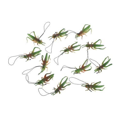 COMNESTBI 12Stücke Realistische Heuschrecken Spielzeuge aus Weichem Pädagogisches Insektenspielzeug für Insekten Themenpartys und Wissenschaftliche Erkundungen COMNESTBI 12Stücke Realistische Heuschrecken Spielzeuge aus Weichem Pädagogisches Insektenspielzeug für Insekten Themenpartys und Wissenschaftliche Erkundungen von COMNESTBI