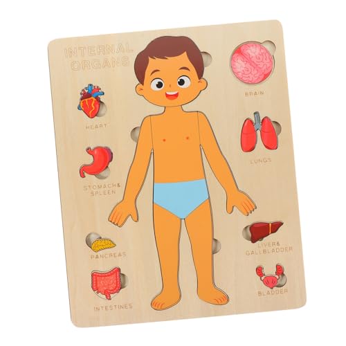 COMNESTBI 1Satz Puzzle für Körperorgane Holzspielzeug für Jungen für Frühkindliche und Lernentwicklung COMNESTBI 1Satz Puzzle für Körperorgane Holzspielzeug für Jungen für Frühkindliche und Lernentwicklung von COMNESTBI