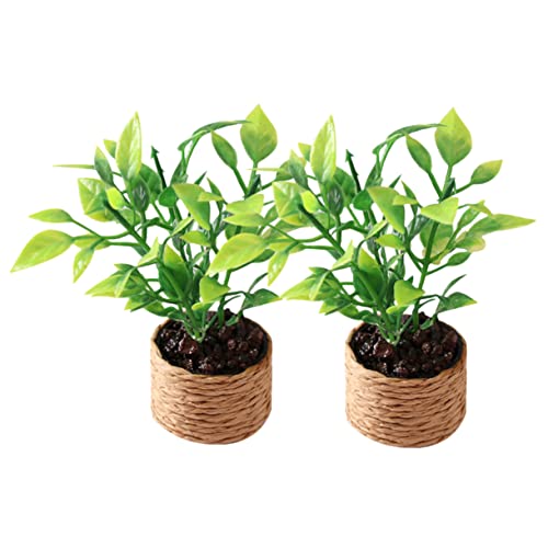 COMNESTBI 2 Stück Mini-orangenbaum Mini-topfpflanzen Winzige Miniatur-topfpflanzen Miniatur-Dekorationen Miniaturspielzeug Mittelstücke Für Tische Schreibtischdekor Miniatur-zubehör Plastik COMNESTBI 2 Stück Mini-orangenbaum Mini-topfpflanzen Winzige Miniatur-topfpflanzen Miniatur-Dekorationen Miniaturspielzeug Mittelstücke Für Tische Schreibtischdekor Miniatur-zubehör Plastik von COMNESTBI