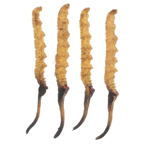 COMNESTBI 4 Teiliges Modell Für Wirts Und Krankheitserreger Medizinladen Zubehör Traditionelles Medizinmodell Kräuterkunde Shop Dekorationen Spiel Arzt Set Kunststoff COMNESTBI 4 Teiliges Modell Für Wirts Und Krankheitserreger Medizinladen Zubehör Traditionelles Medizinmodell Kräuterkunde Shop Dekorationen Spiel Arzt Set Kunststoff von COMNESTBI