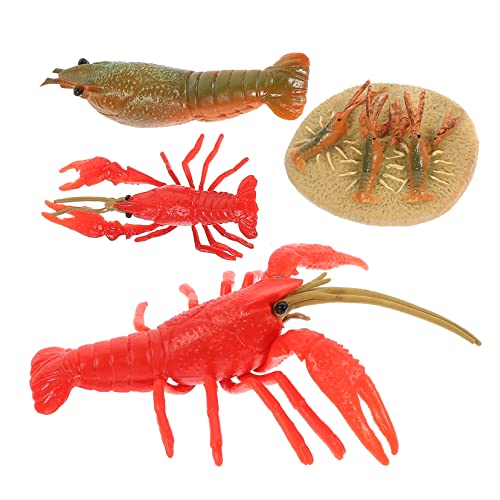 COMNESTBI 4Stücke Teiliges Hummer Wachstumszyklus Modell aus Flexiblem Kunststoff Tierfiguren für Kognitiven Entwicklung und Spielerischen Erziehung Lehrspielzeug von COMNESTBI
