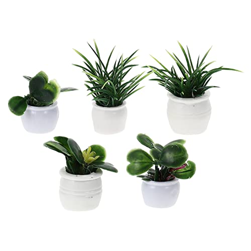 COMNESTBI 5stücke Miniatur Bonsai Pflanzen Für Puppenhaus Dekoration Realistische Künstliche Topfpflanzen Für Mini-gärten Spielzeug Und Innenräume Für Kreative Landschaftsgestaltung von COMNESTBI