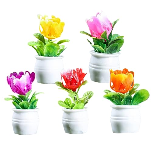 COMNESTBI 5stücke Miniatur Blumen Töpfe Teiliges Puppenhaus Zubehör Resin Pflanzen Für Innen Und Außendekoration Simulation Für Bonsai Und Miniatur Landschaften COMNESTBI 5stücke Miniatur Blumen Töpfe Teiliges Puppenhaus Zubehör Resin Pflanzen Für Innen Und Außendekoration Simulation Für Bonsai Und Miniatur Landschaften von COMNESTBI